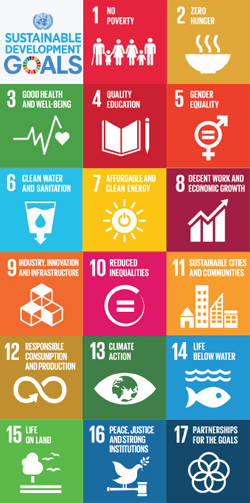UN.SDGs.Vertical.png